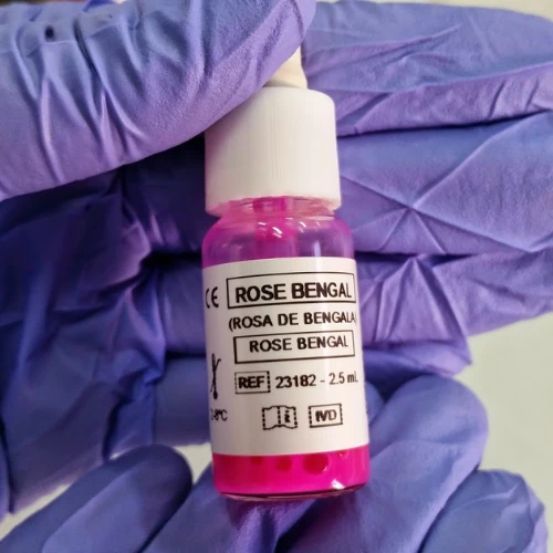 Imagen de: ROSA DE BENGALA